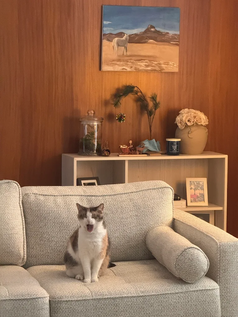 Pet Sitting By Carly